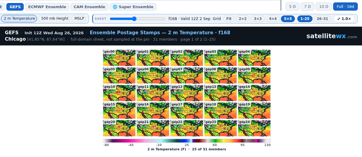 Postage-stamp sheet: a small rendered map per ensemble member, side by side