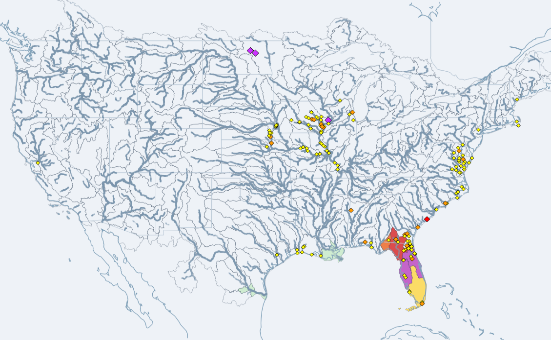 River network across the US with basins shaded by the chance of more than an inch of rain